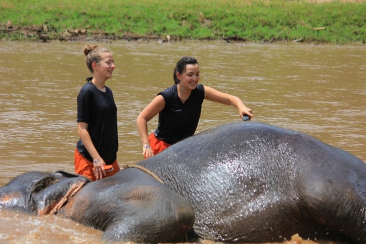 Au bain le pachyderme