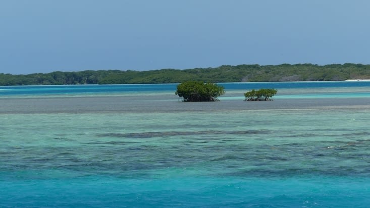 Heureusement, la mangrove apporte un peu de vert à tout ce bleu