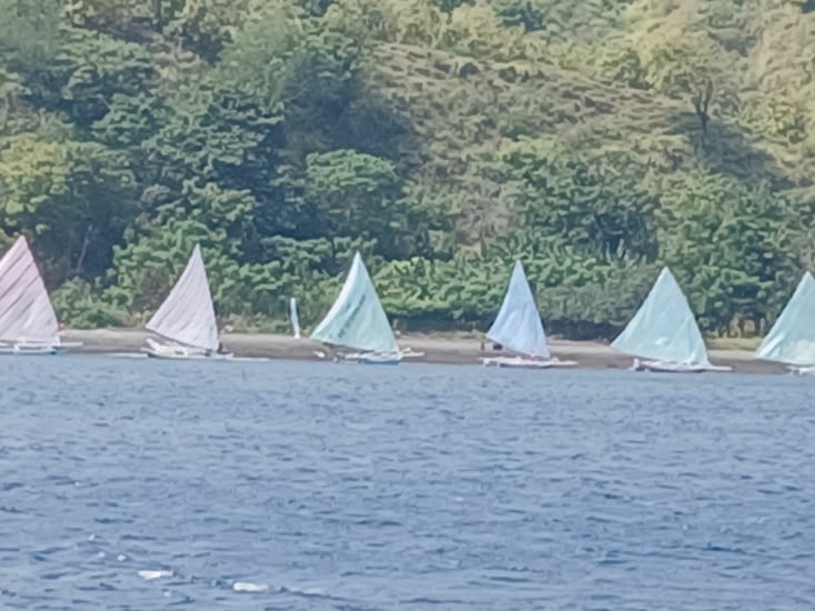 Régate sur le départ