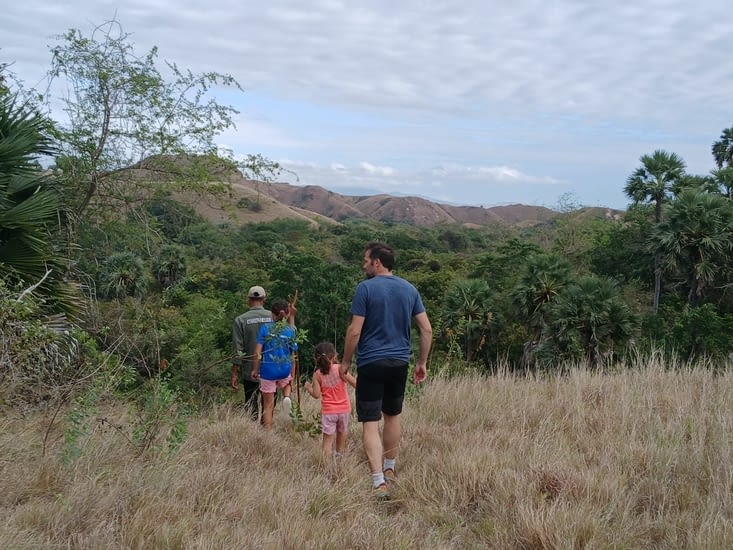 Visite de l'île de Rinca où vivent les fameux varans de Komodo.