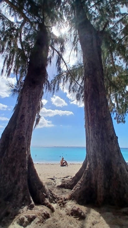Des plages ombragées par les filaos