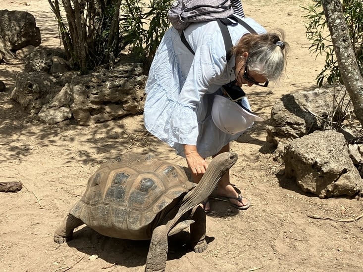 Grattez moi le cou !