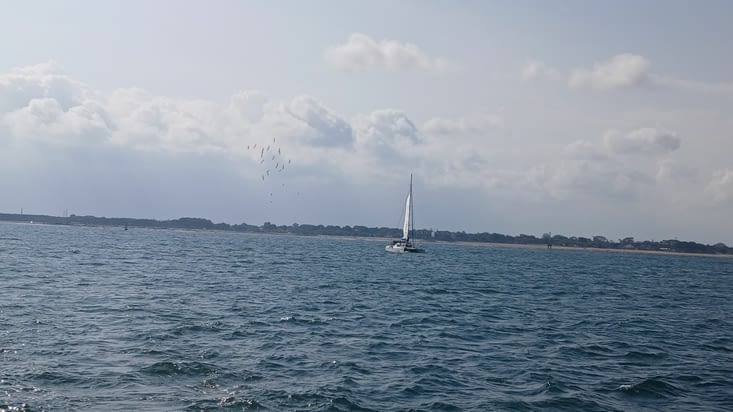 On part sous les aurevoirs des cerfs-volants balinais