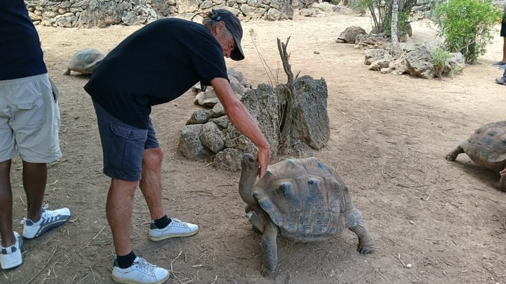 Une caresse s'il vous plaît