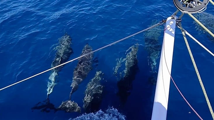 Ici l'eau qui passe subitement de 25°c à 13°c dans le courant.