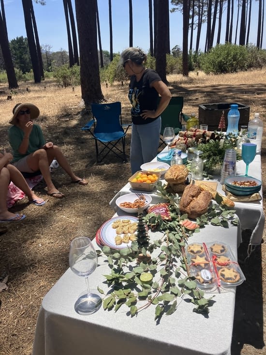 Pour Noël ce sera pique-nique chic avec les copains