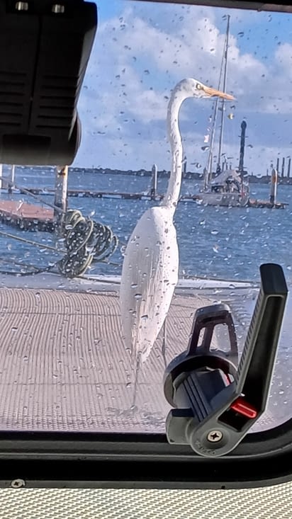 On arrive à peine fatigués à Recife