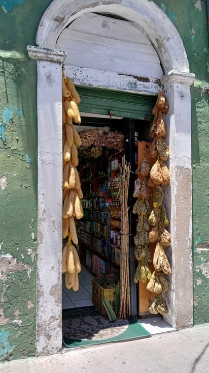 Une herboristerie traditionnelle