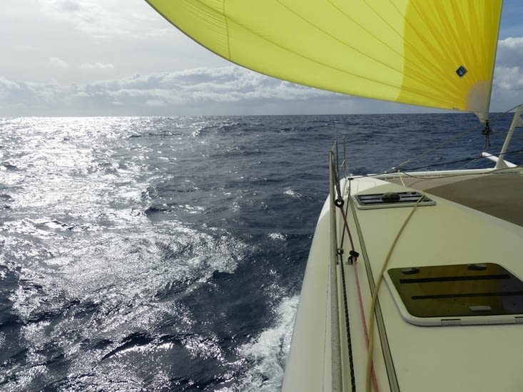 Les quatre premiers jours sont un pur régal de navigation à voile