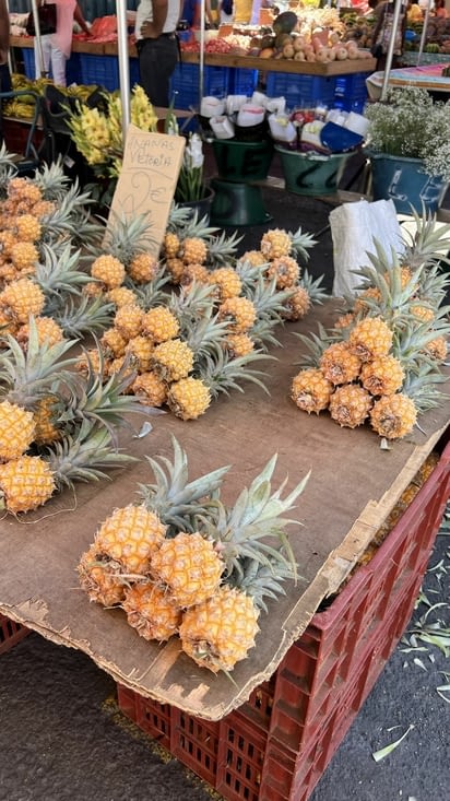 Ananas Victoria