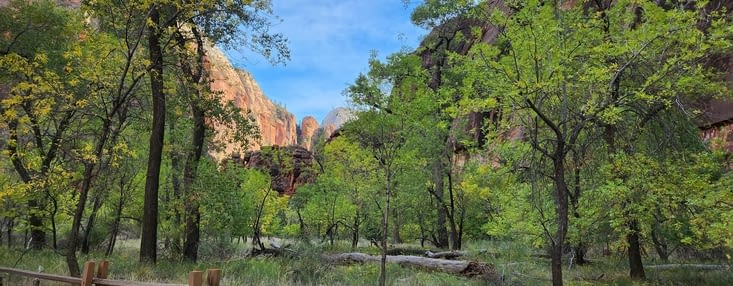 Balade sur le sentier de randonnée, le Zion Narrows