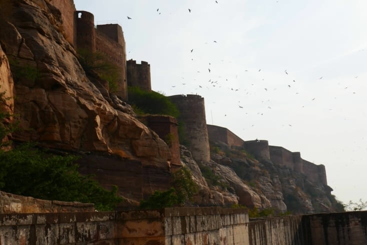 Les aigles survolent le fort