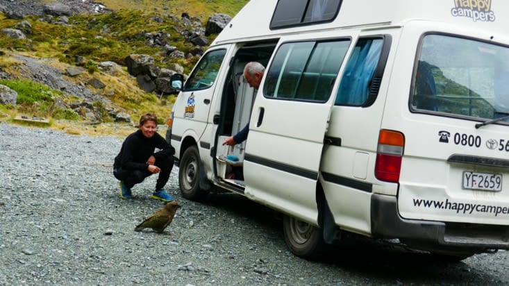 Ils cherchent de la nourriture