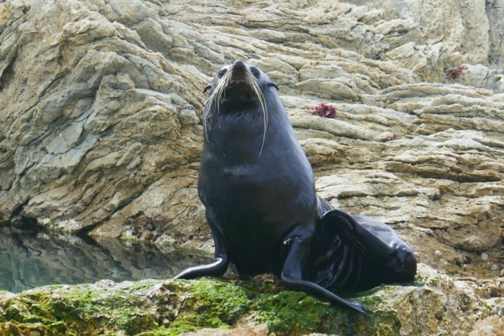 Euh, dis moi Lucienne, il est quelle heure là ?