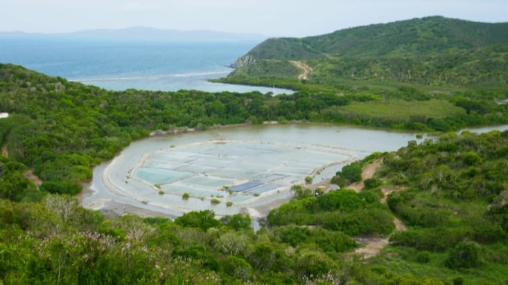 Balade du côté des marais salants