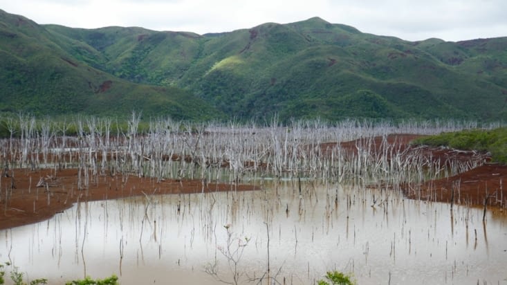 La forêt noyée (si si c'est son vrai nom)