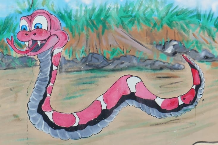 Dans la Quebrada de las conchas, il parait qu'il y a des serpents à sonnette