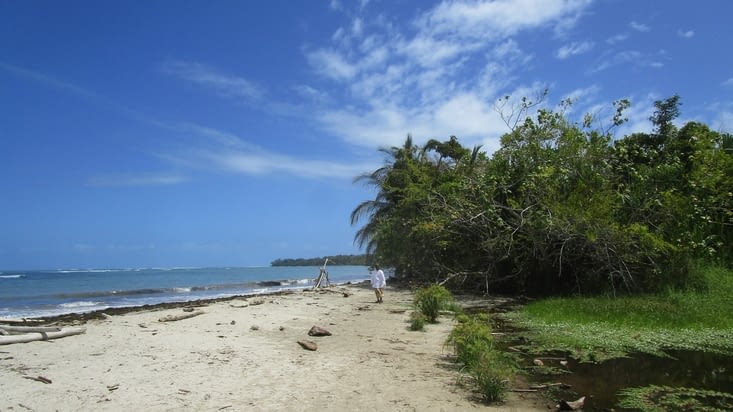 Parque Nationale Cahuita (plage)