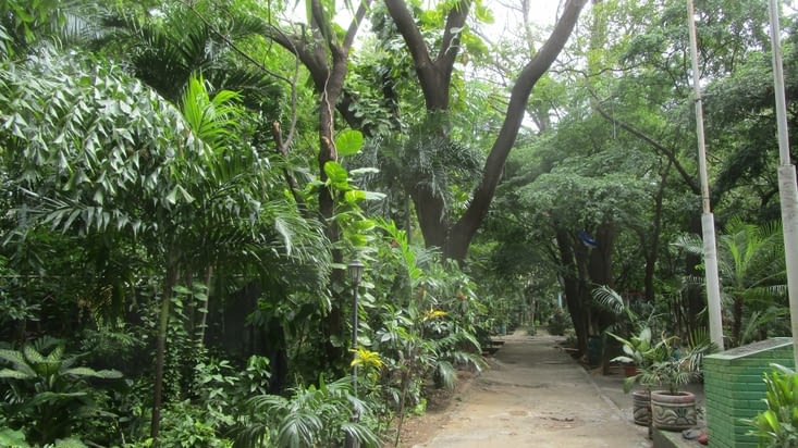 Arboreum de Managua