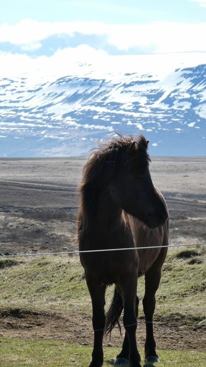 Ville de Husavik