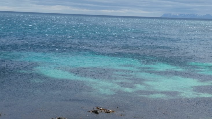 Eau couleur Caraïbes