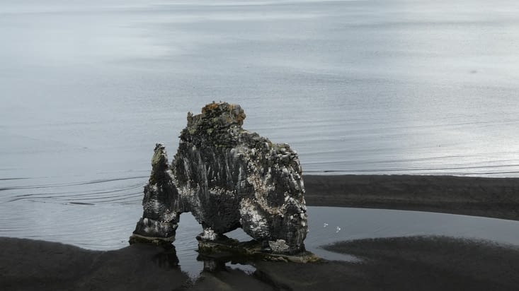 Hvitserkur . Le rocher le plus photographier de l'Islande