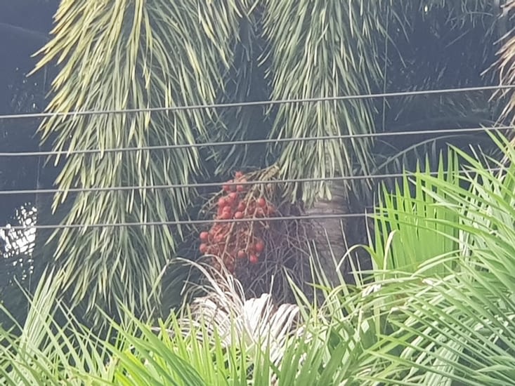 et d autres..a perte de vue au milieu de nulle part