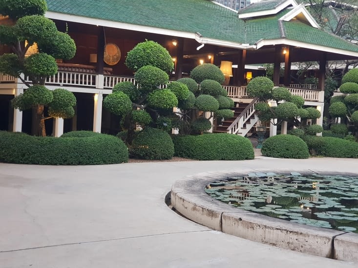 Petits bras Johnny deep