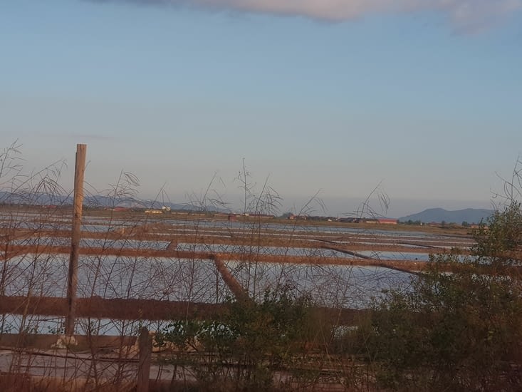 Les salines de kampot