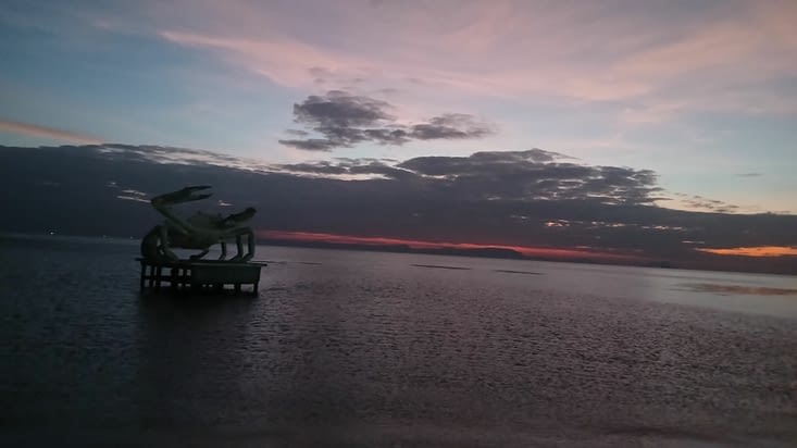 Fin de journee..fin de sejour😥