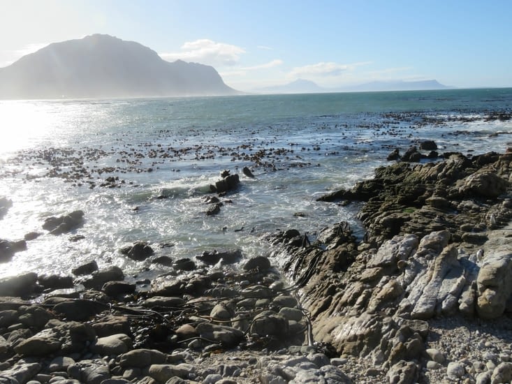 C'est dans ce joli cadre préservé que nous sommes venus voir...