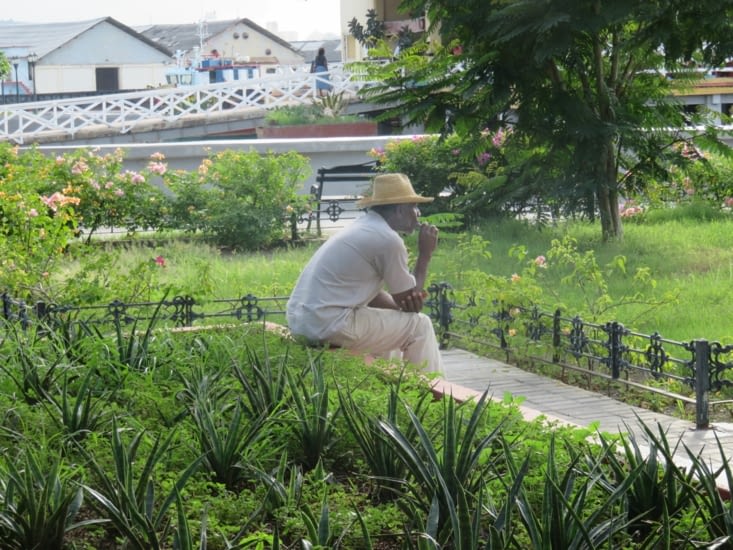Un cubain dans un parc