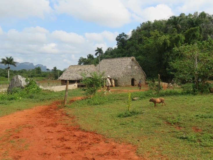 Arrivée chez le paysan-cow-boy