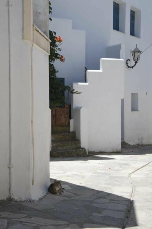 Xalki : comité d'accueil