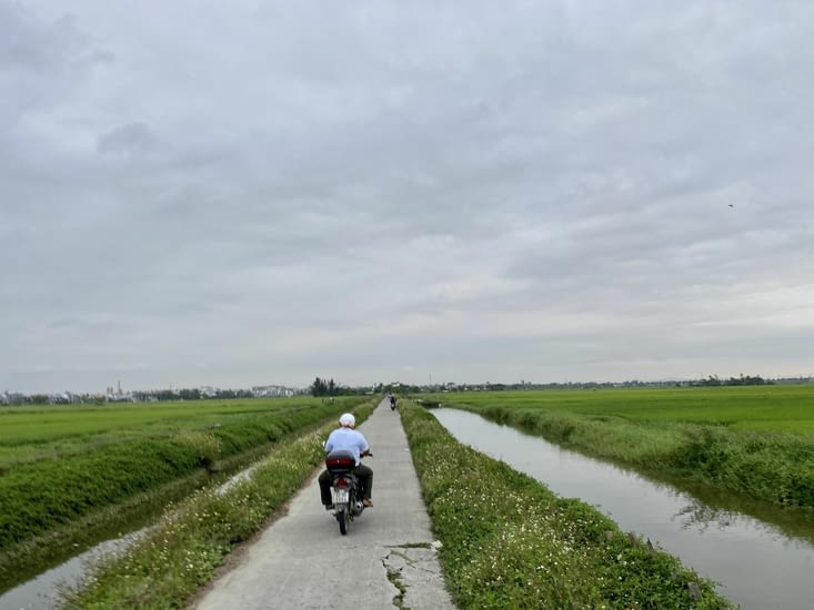 A vélo au milieu des rizières