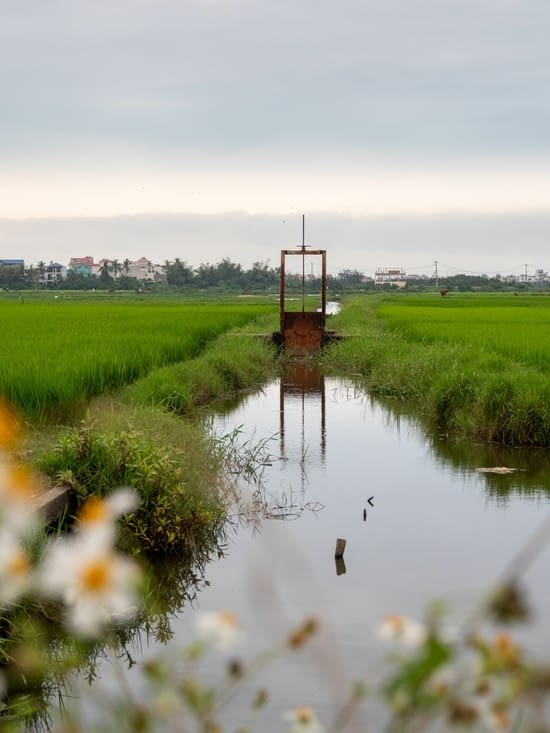 Installation hydraulique permettant de gérer la circulation de l’eau dans les rizières