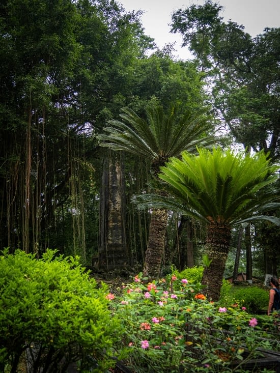 Végétation dans le parc du tombeau de Minh Mang