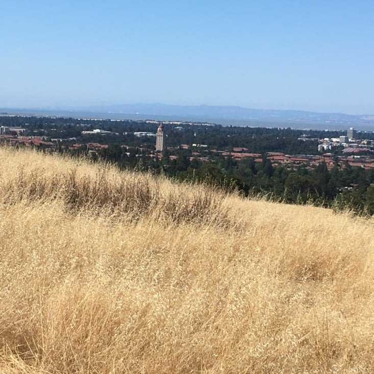 Stanford  vu des hauteurs