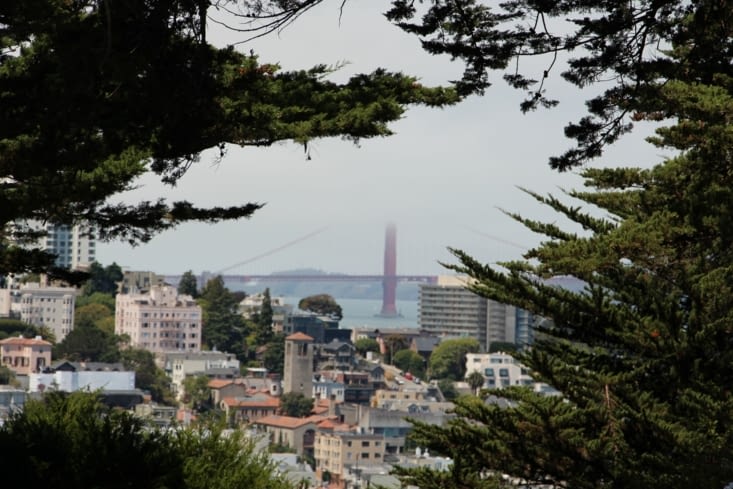 allez Golden un petit effort? non?