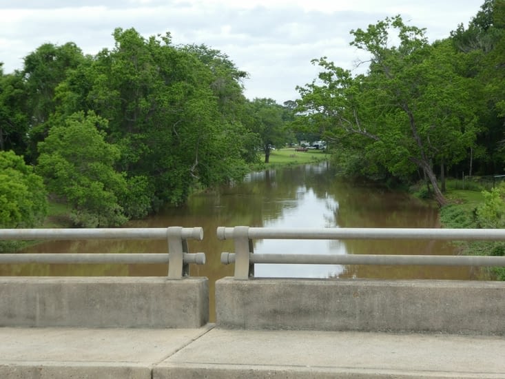 Le bayou Teche