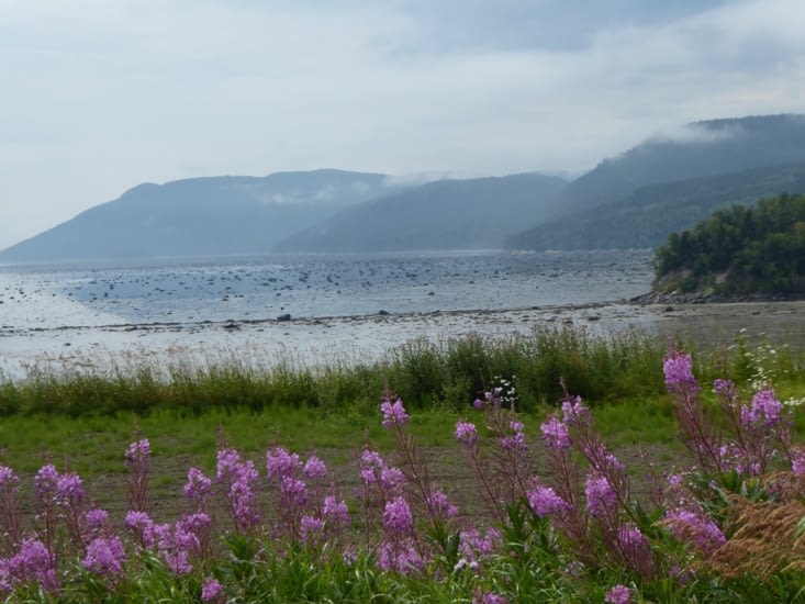 Du haut des dunes...