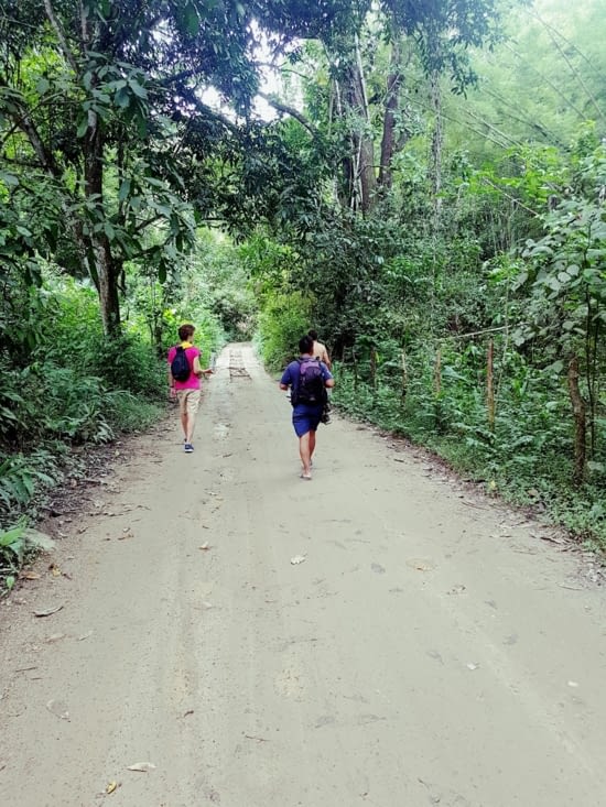 Le lion est mort ce soir