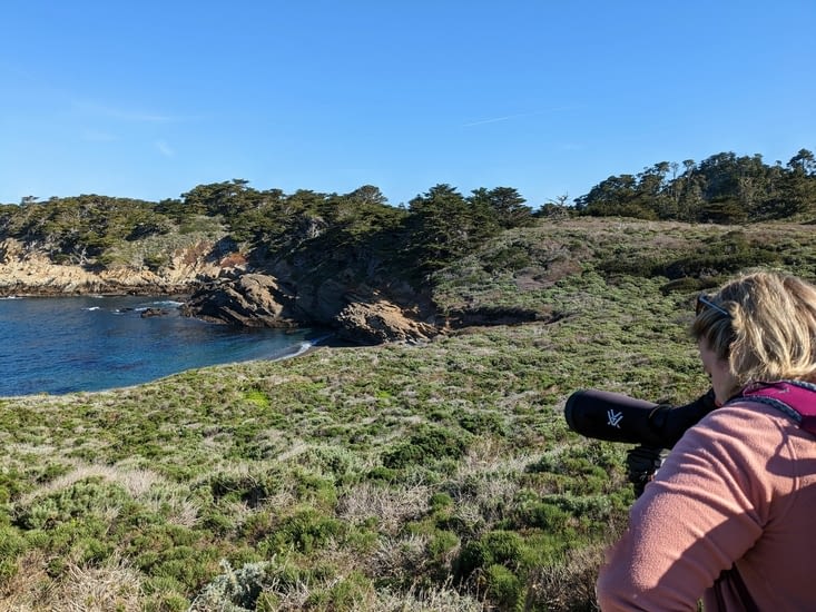 Patricia observant les loutres de mer grâce à la longue vue du Ranger