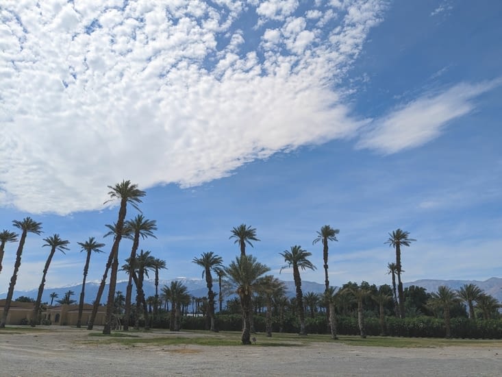 Petite pause déjeuner dans la petite palmeraie de Furnace Creek.