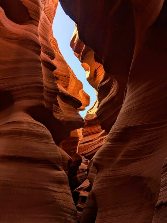 Une tête de chien, une tête de singe et un requin, à vous de fouiller !