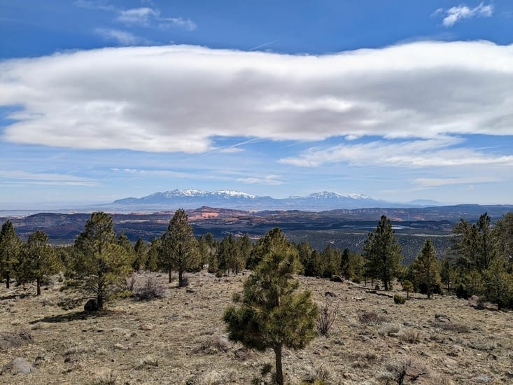 Et la neige apparaît !