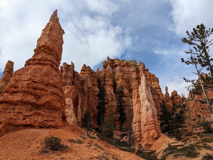 Le jardin de la reine 😍