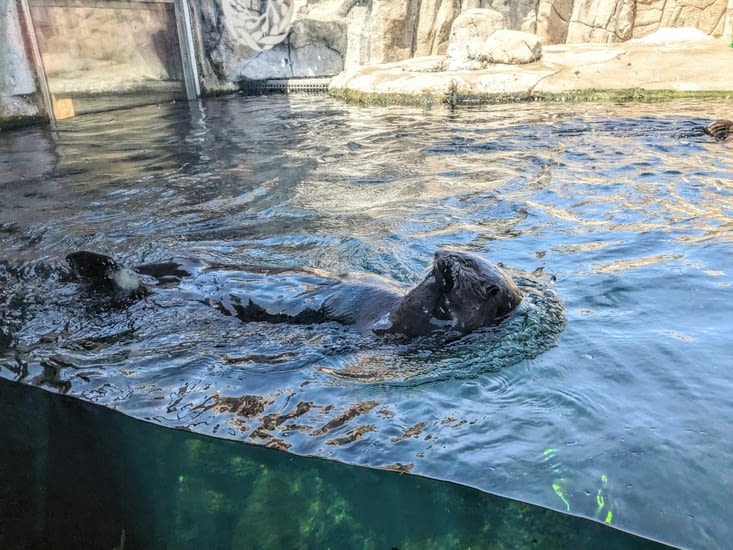 Comment ne pas craquer!