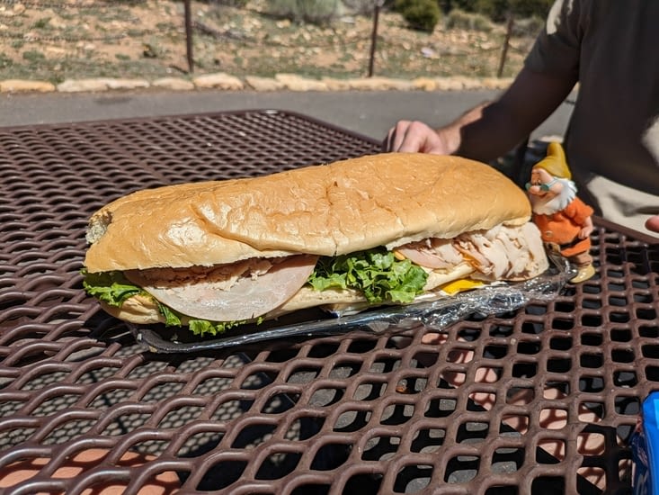 Pedro en voyant la photo :