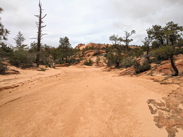 Passage dans un Wash (lit d'une ancienne rivière)